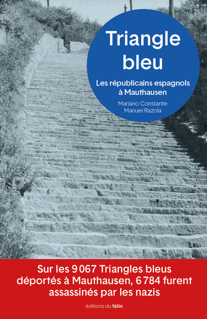 Triangle Bleu Triangle Bleu